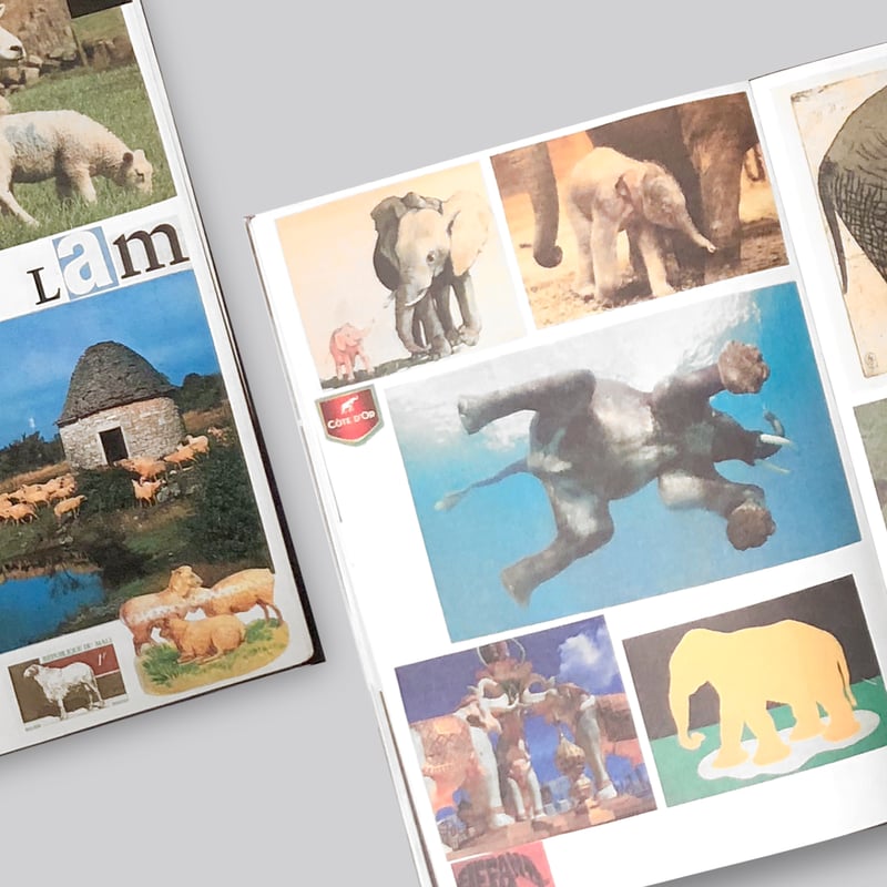 Lous Martens / Animal Books for Jaap, Zeno, Ann