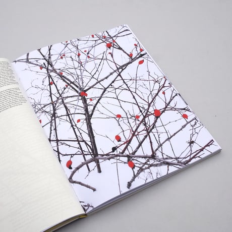 Esther Hessing & Sophieke Thurmer / Bound to the Ground