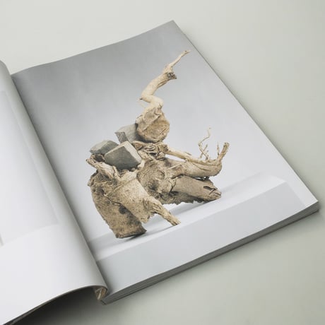 Navid Nuur / Funnelflux
