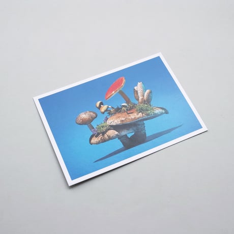 Every Mushroom is a Good Mushroom