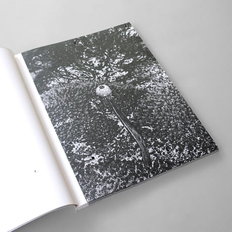 Shinichiro Shiraishi / Samsara