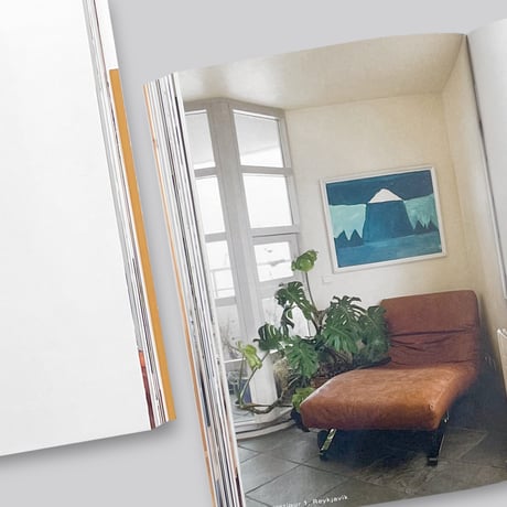 Roni Horn / Herdubreid at Home