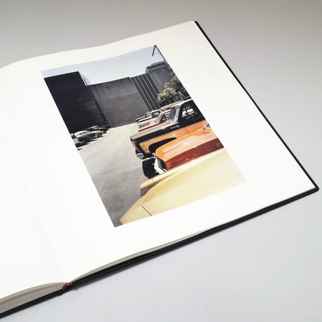 William Eggleston / The Democratic Forest. Selected Works