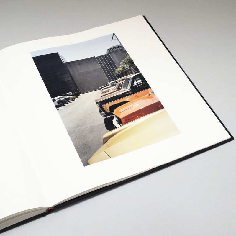 William Eggleston / The Democratic Forest. Sele