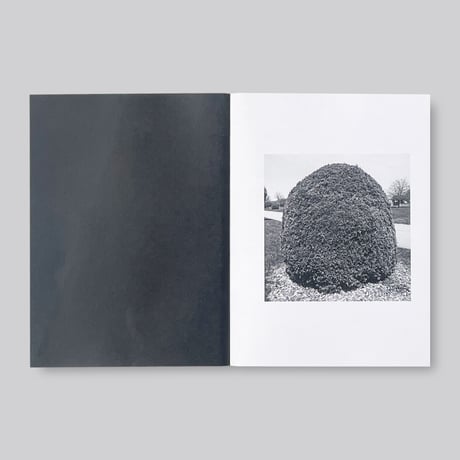 Mike Slack / Shrubs of Death
