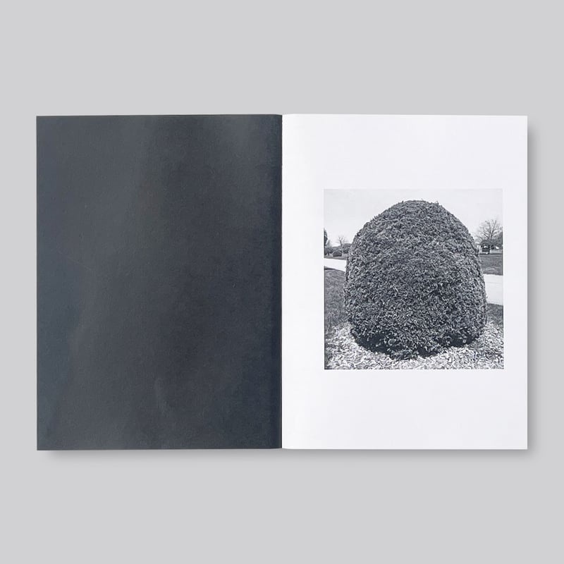 Mike Slack / Shrubs of Death | POST