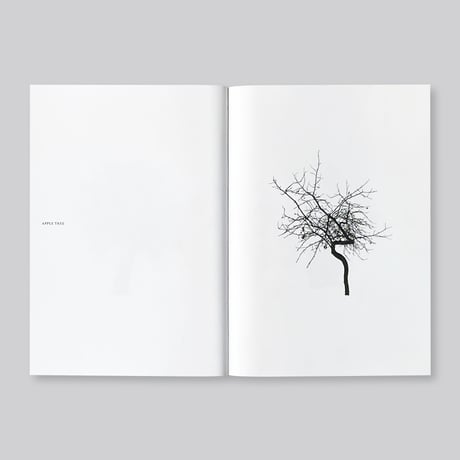 Todd Schulz / Five Leaves Left