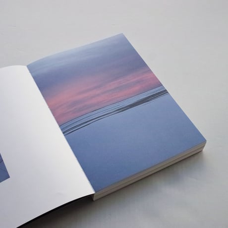 Rirkrit Tiravanija & Antto Melasniemi / The Bastard Cookbook