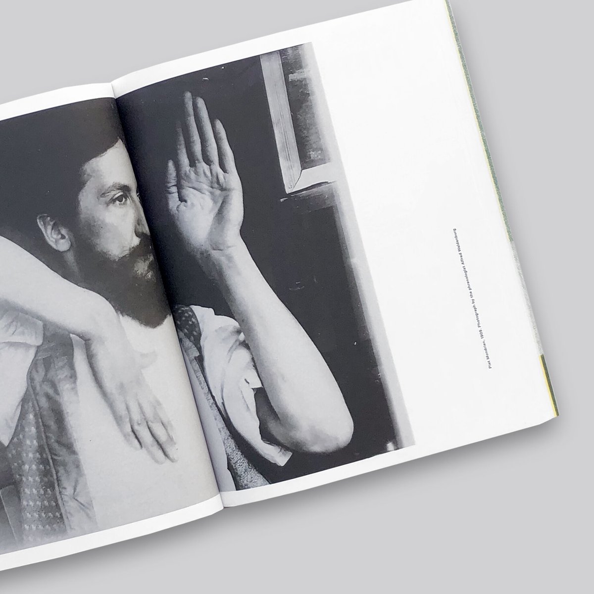 Mondrian Evolution | POST