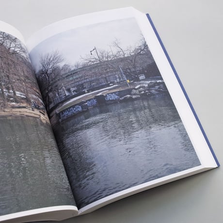 Stanley Greenberg / Springs and Wells, Manhattan and the Bronx