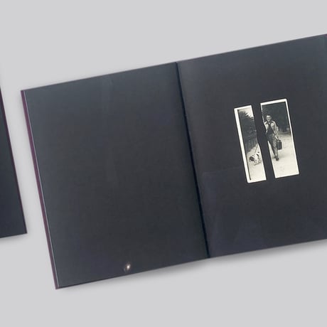 Thierry Struvay / Love & Hate & Other Mysteries