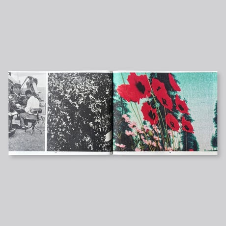 Most Beautiful Swiss Books 2024
