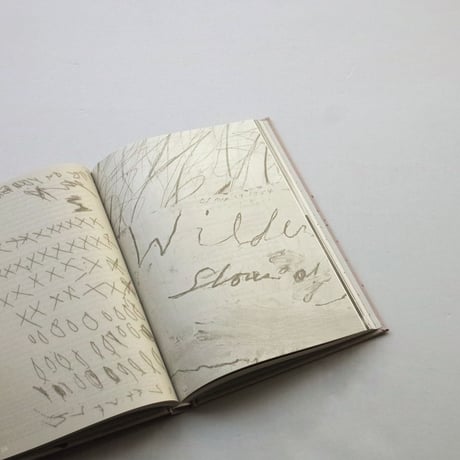 Jeroen Lutters / Cy Twombly's Quattro Stagioni. Studies In Art-Based Learning