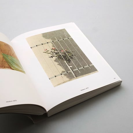Luigi Ghirri /The Map and the Territory