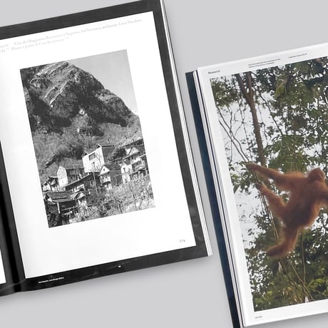 The Most Beautiful Swiss Books 2017