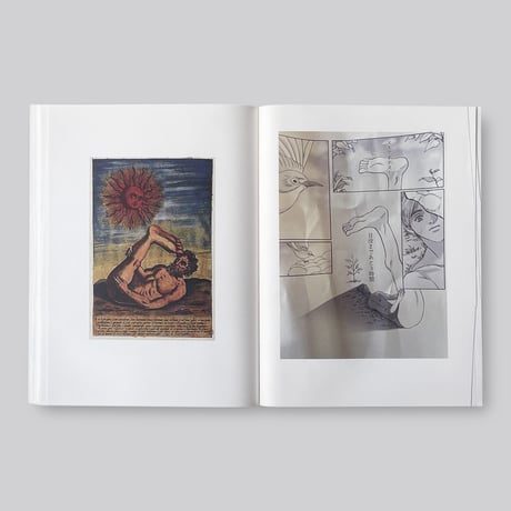Mark Manders / La scomparsa degli sciapodi
