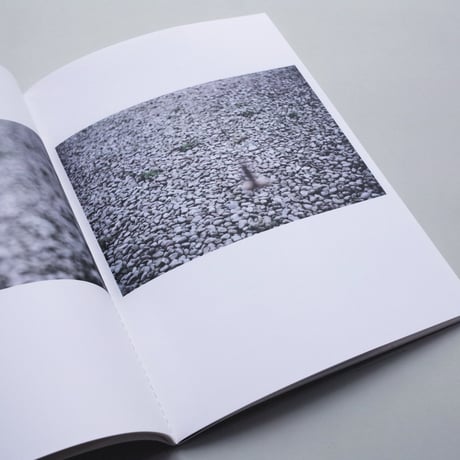 Rei Naito / Transphere 03 - Emotions De Croire