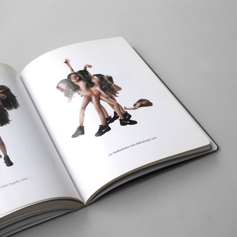 Jake & Dinos Chapman / Unholy Libel | POST