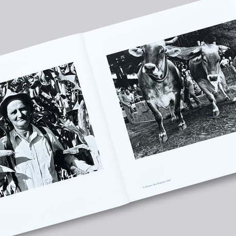 Lee Friedlander / Workers - The Human Clay