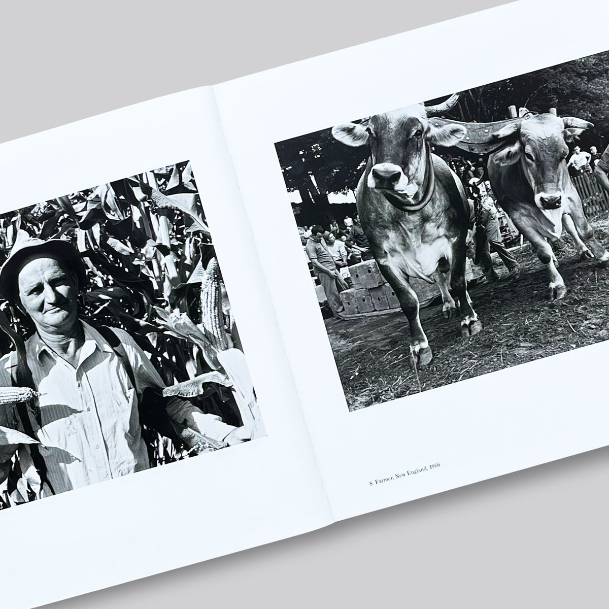 Lee Friedlander / Workers - The Human Clay | POST