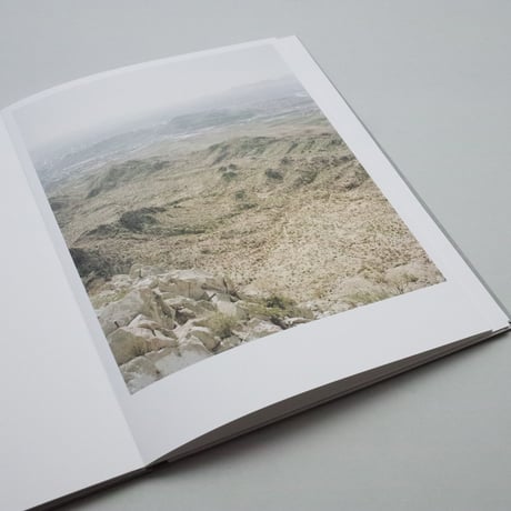 Elian Somers / One and Another State of Yellow