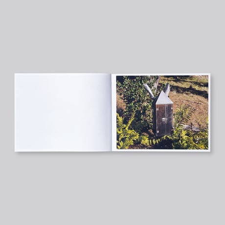 Adam Thorman / Creatures Found
