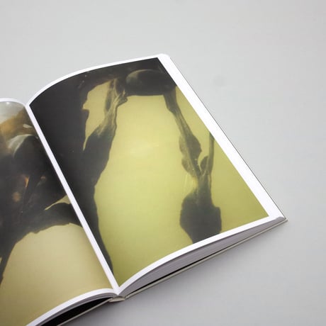 Lynn Alleva Lilley / Deep Time