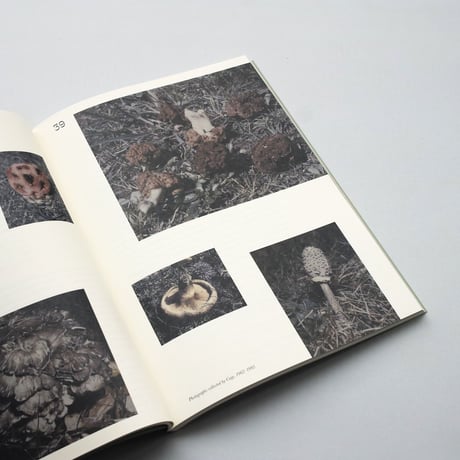John Cage / A Mycological Foray