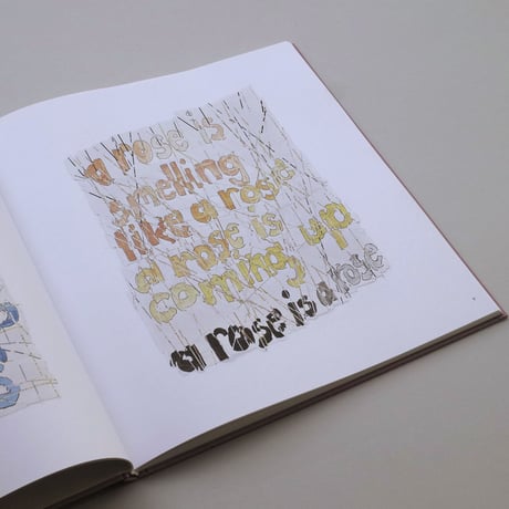 Roni Horn / Th Rose Prblm
