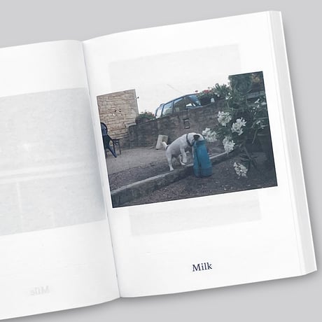 Anne Geene & Arjan De Nooy / Dictionary