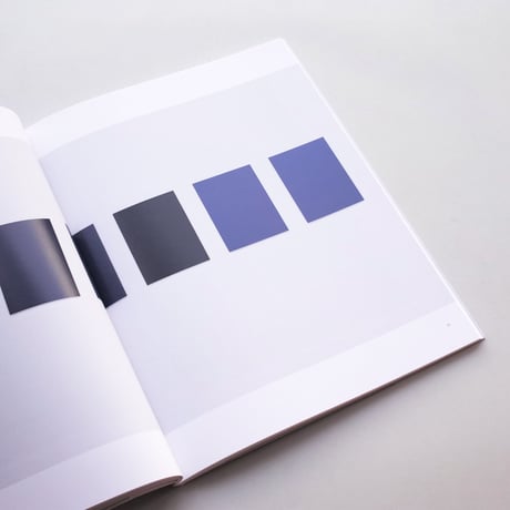 Sherrie Levine / After Reinhardt