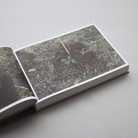 herman de vries & sussane de vries / the meadow