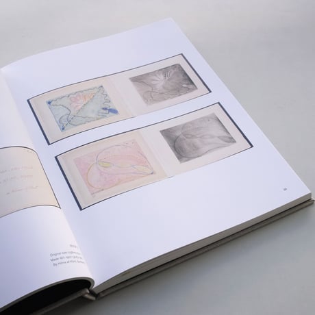 Hilma af Klint / The Blue Books
