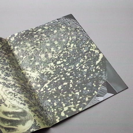 Kenta Cobayashi / DAYDREAM