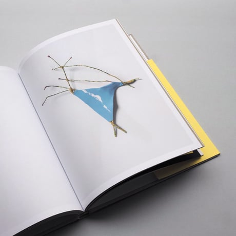 Sven Lukin / Branches