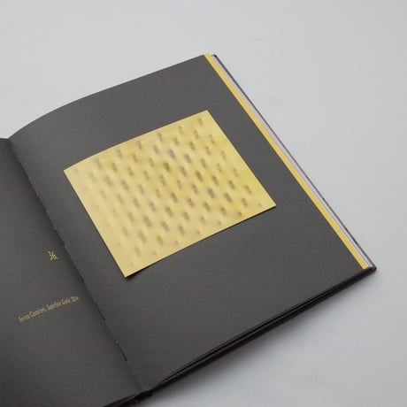 Joseph Kosuth / Colour In Contextual Play - An Installation By Joseph Kosuth