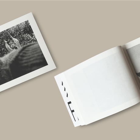 【CC】Issei Suda / FAMILY DIARY