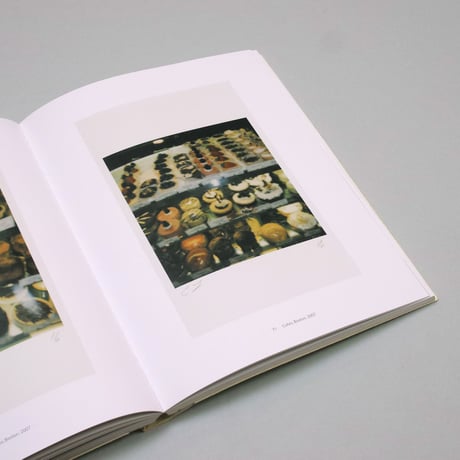 Cy Twombly / Photographs