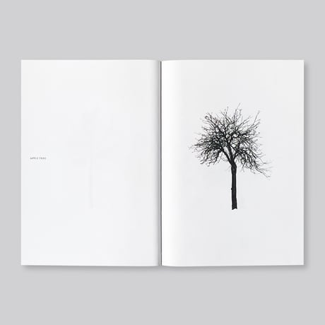 Todd Schulz / Five Leaves Left