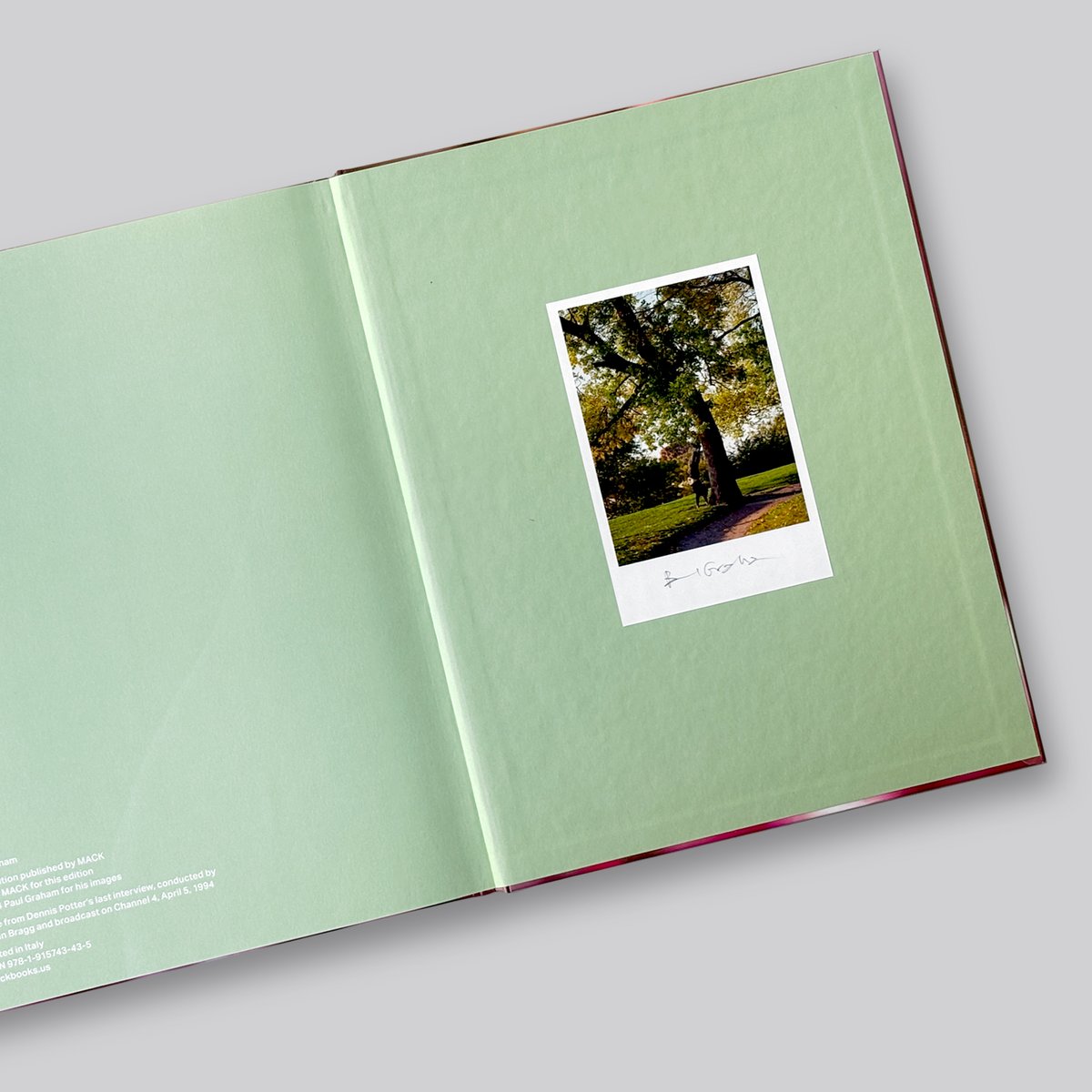 Verdigris Ambergris Paul Graham ポール　グラハム VERDIGRIS / AMBERGRIS by Paul Graham [SIGNED] – twelvebooks