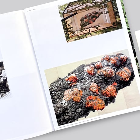 Erik Odijk / The Academy Of The Sublime