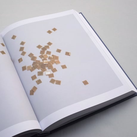 Carl Andre / Sculpture as Place 1958-2010