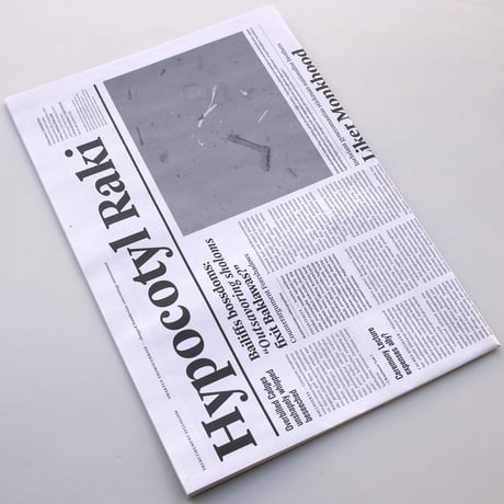 Mark Manders / Floor with Notional Newspapers