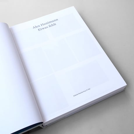 Alex Haniman / Etwas fehlt