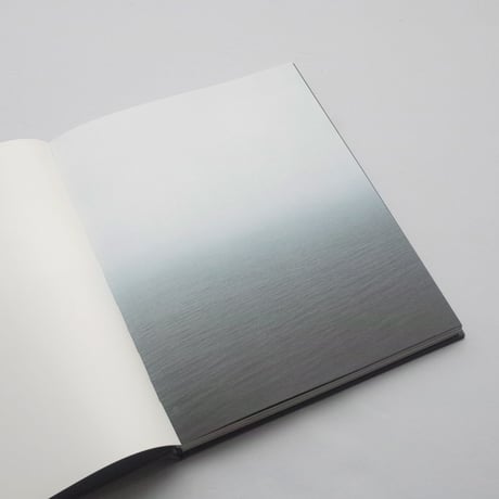 Roni Horn / Arctic Circles