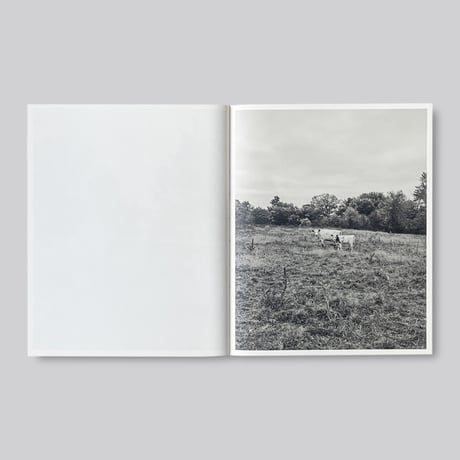 Tim Carpenter / LITTLE