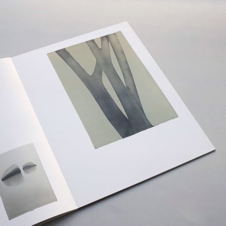 Mats Gustafson / Trees and rocks