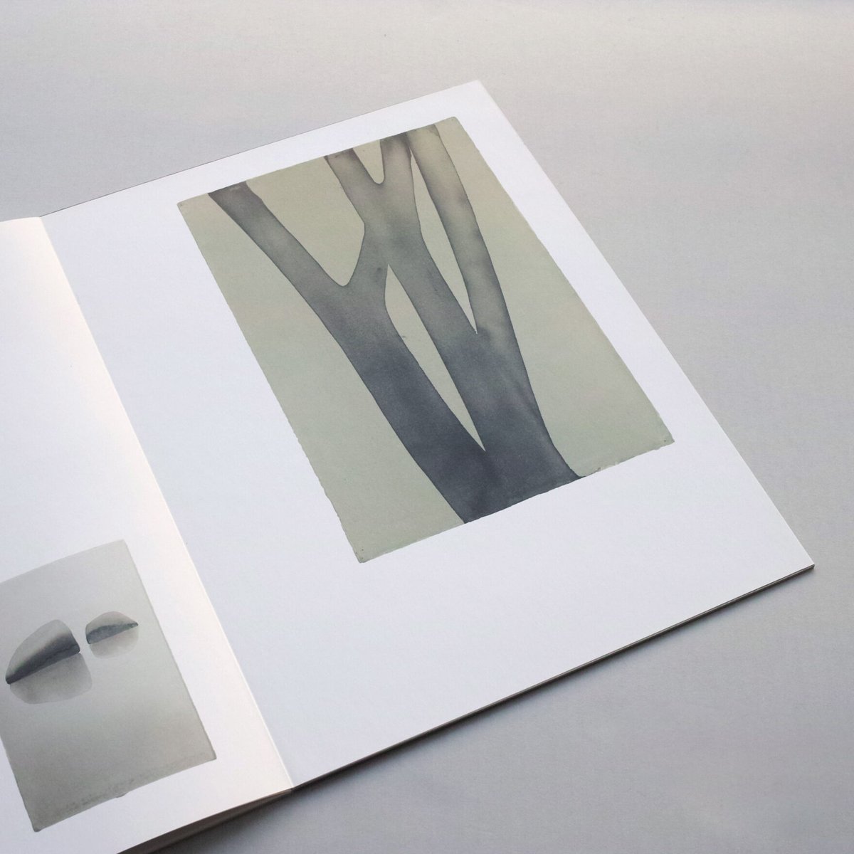 その他 Mats Gustafsson / Trees and Truths - 3EP Mats Gustafsson – Trees and Truths – Box Set (Limited