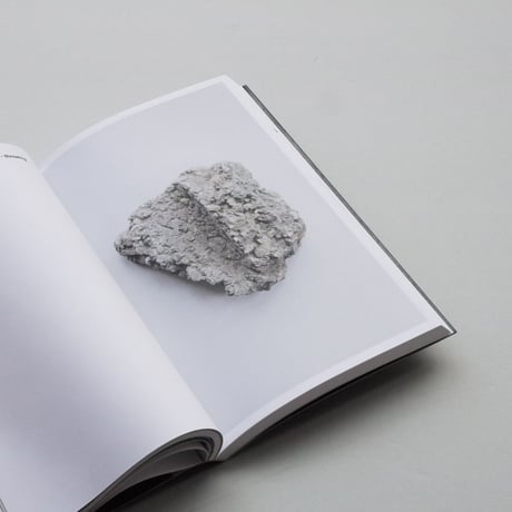 Ad van Denderen / Stone