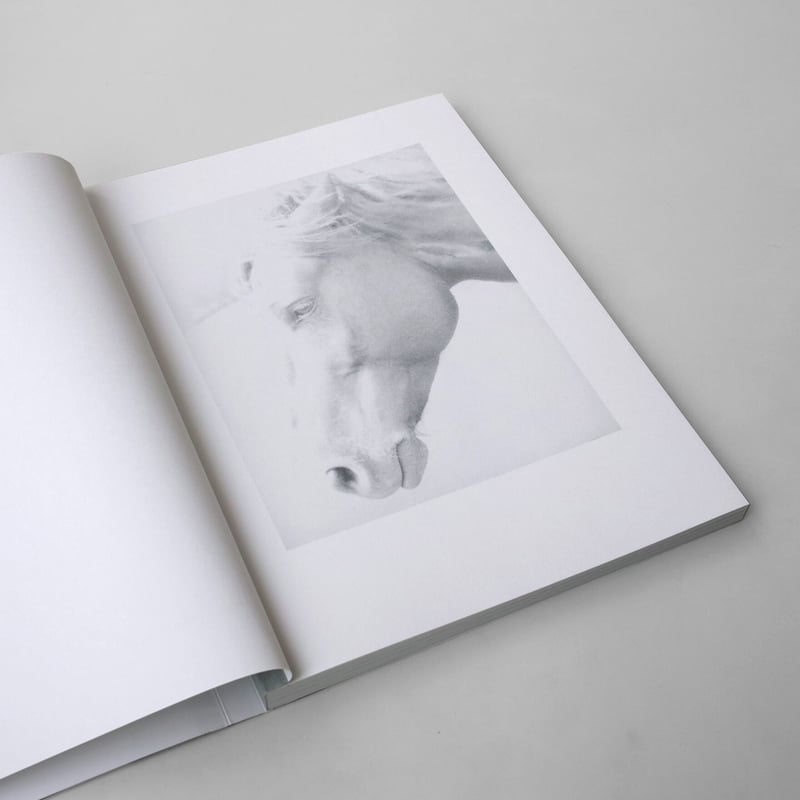 Jochen Lempert / Paare / Pairs | POST